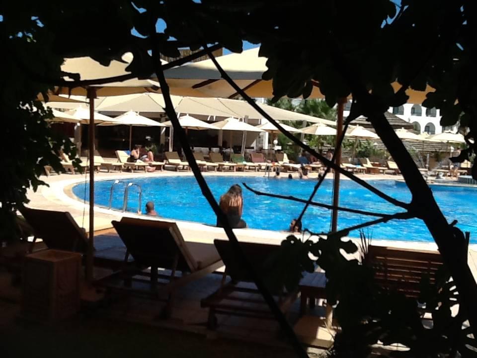 Pool vom Zimmer aus Hotel Royal Nozha