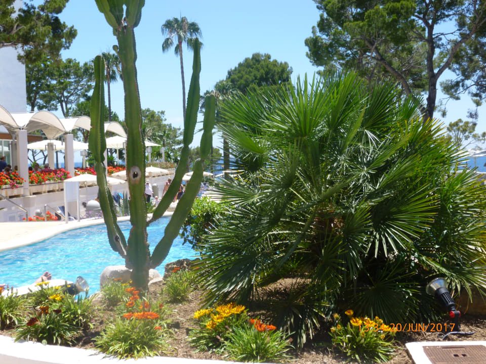 Gartenanlage Hipotels Eurotel Punta Rotja Golf & Spa