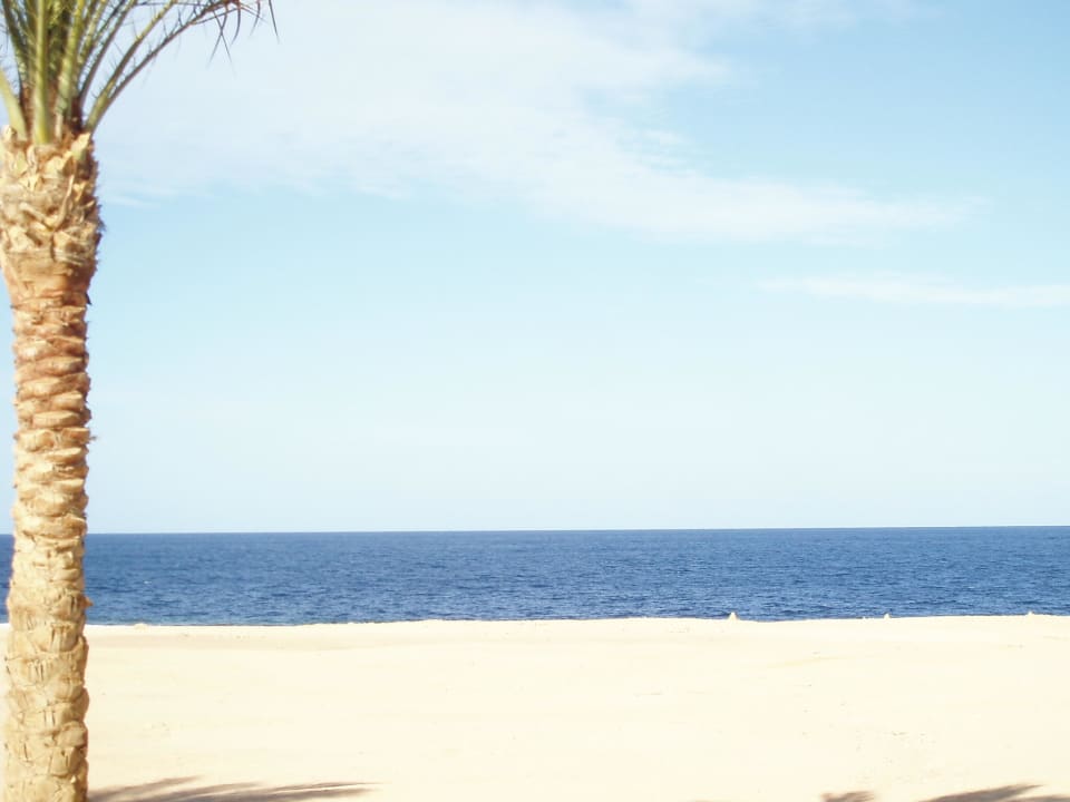 Aufwachen mit Meeresrauschen Steigenberger Coraya Beach - Adults only