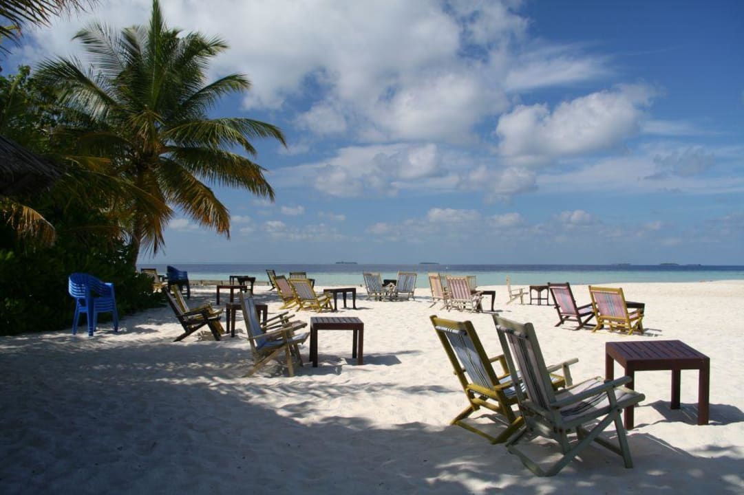Ein Platz an der Sonne  Vilamendhoo Island Resort & Spa