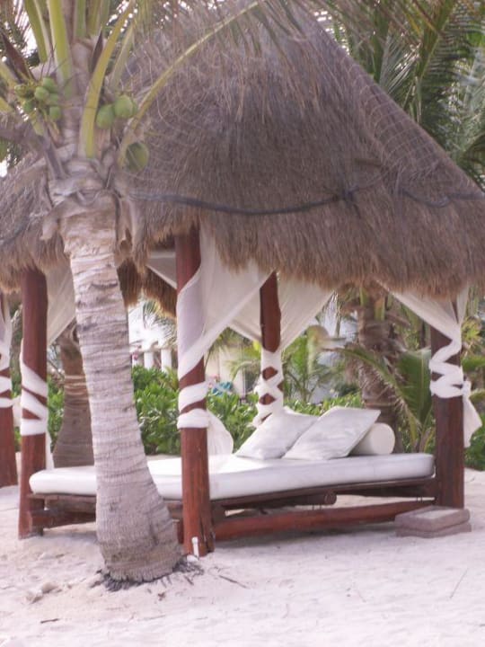 Himmelbett am Strand TUI BLUE El Dorado Seaside Suites