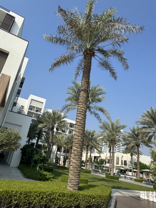 Gartenanlage Palace Beach Resort Fujairah