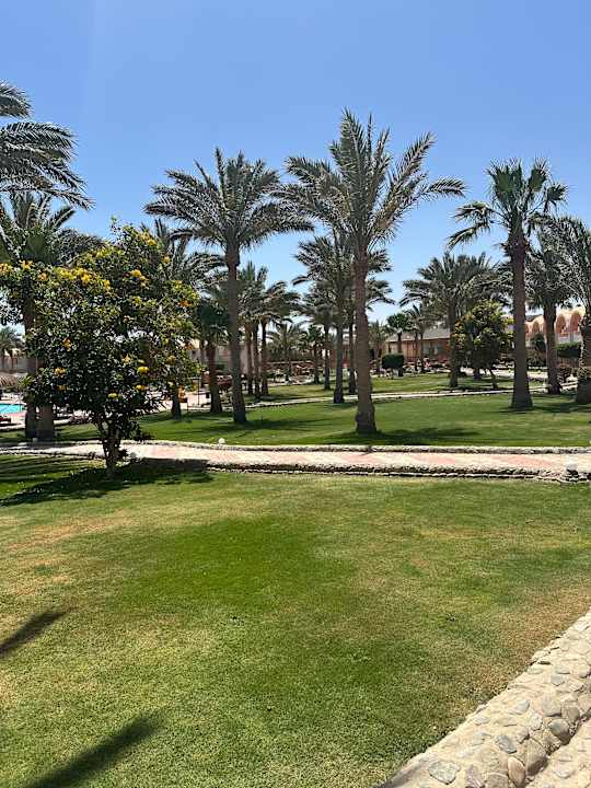 Pool Three Corners Sea Beach Resort