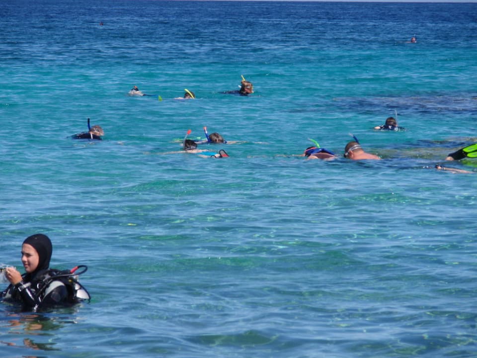 Ein Paradies für Schnorchler und Taucher Malikia Resort Abu Dabbab