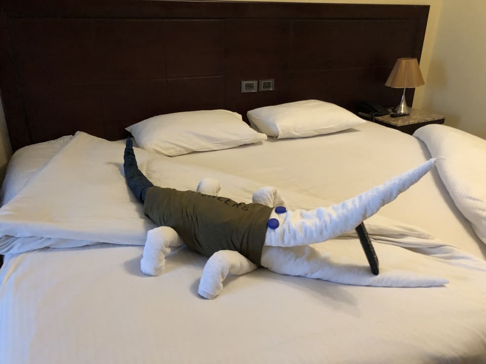 Täglich eine kleine Überaschung Gravity Hotel & Aqua Park Hurghada