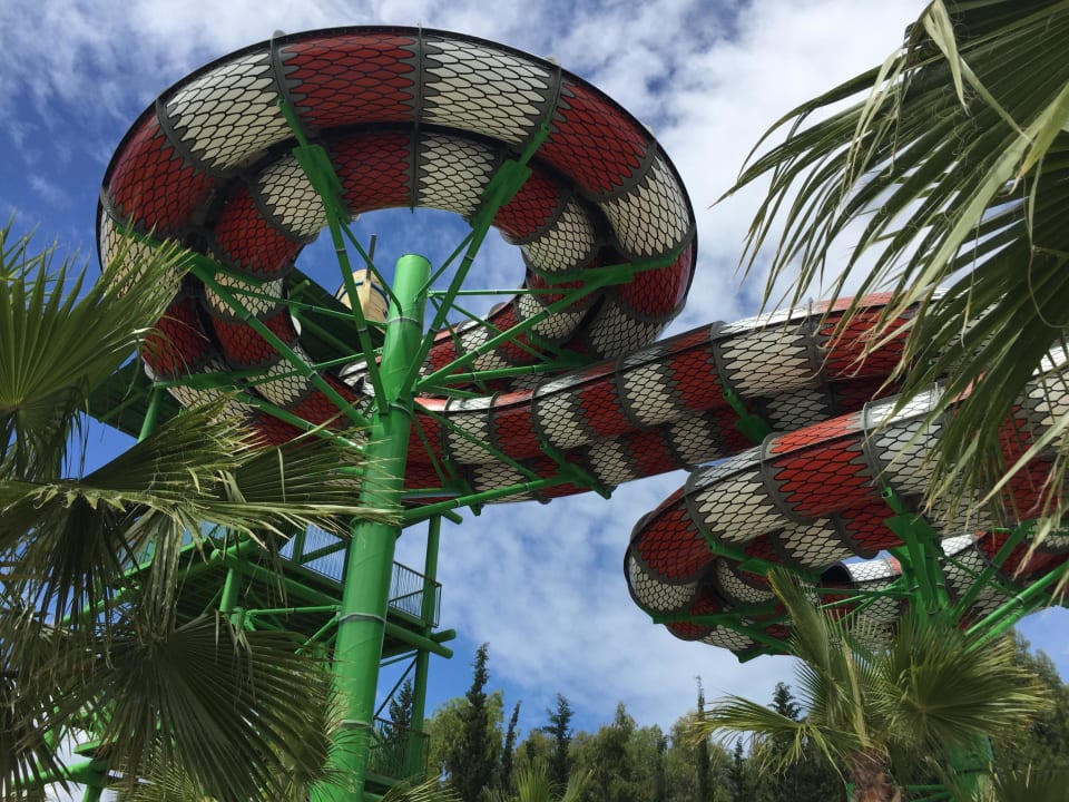 Cobra Rutsche Crystal Sunset Pearl Collection