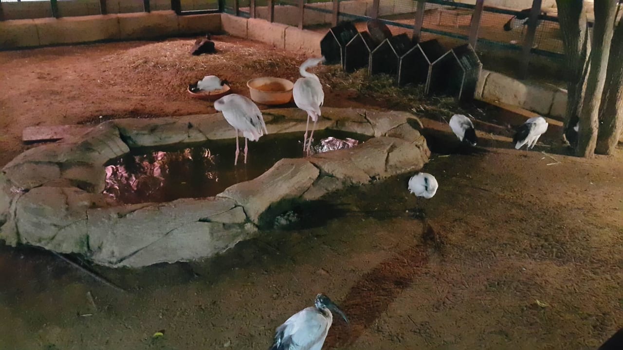 New Block Facing Room Hotel Emirates Park Resort