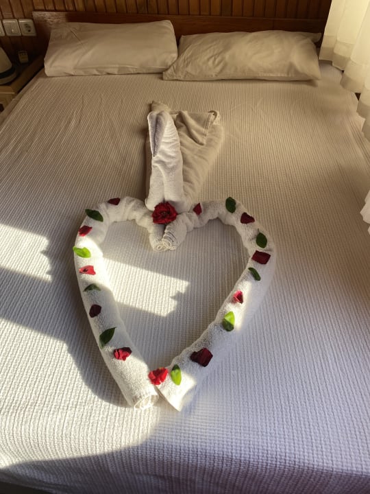 Zimmer Clover Magic Nova Beach