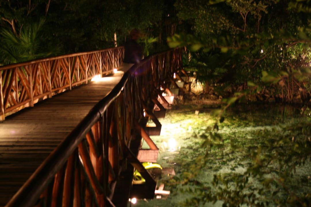 Hoteleigene Cenote Catalonia Royal Tulum Beach & Spa Resort - Adults only