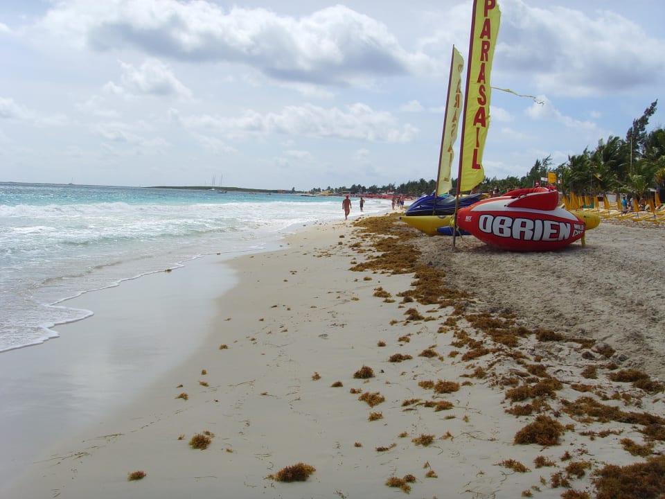 quot Der Strand Blick nach rec quot Hotel Palm Court (Orient Bay