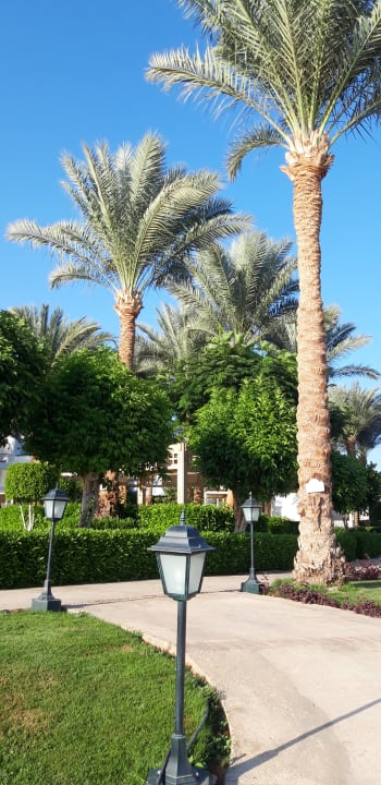 Gartenanlage JAZ Fanara Resort