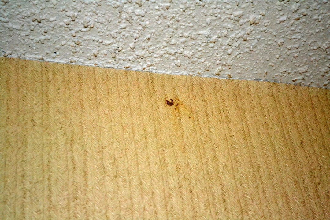 Mängel in Zimmer 127 Hotel Red Carpet Inn Endicott