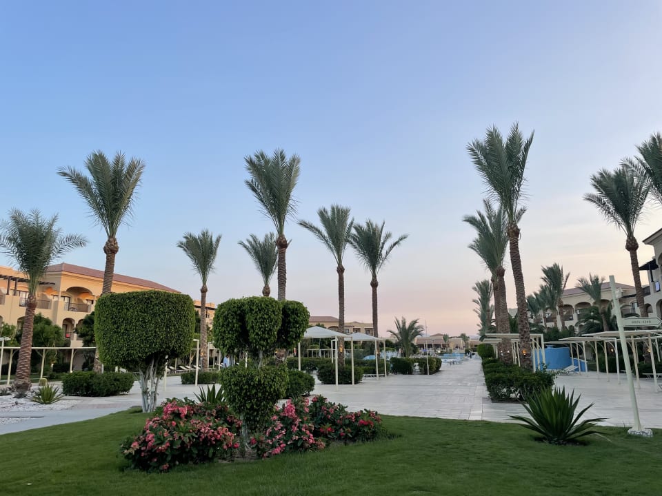 Gartenanlage JAZ Aquamarine Resort