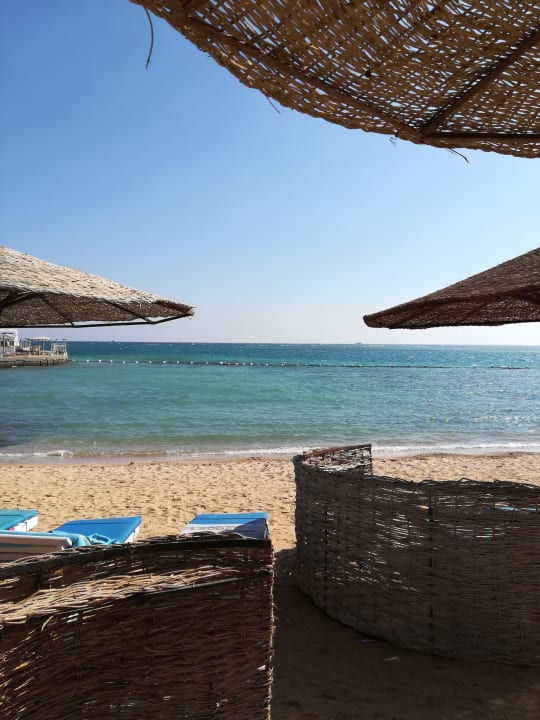 Strand Sea Star Beau Rivage