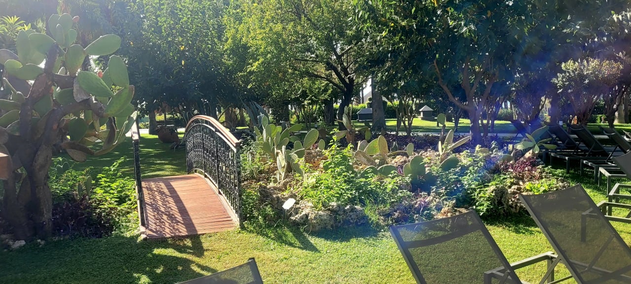 Gartenanlage Hotel Miramare Beach