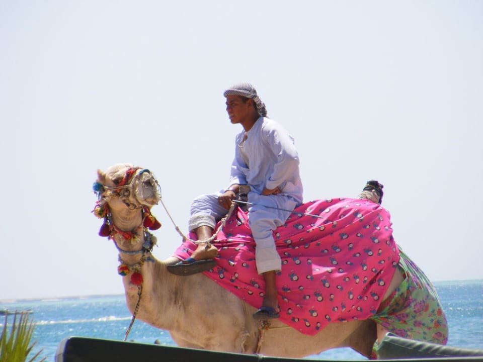 Oscar Giftun Azur Resort