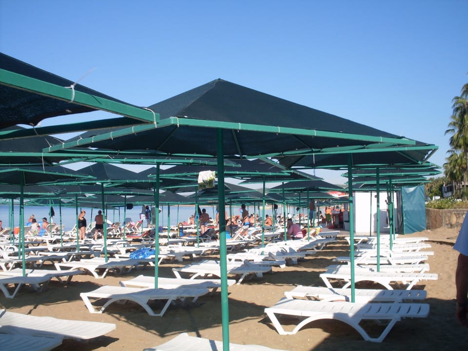 Liegen dicht an dicht My Home Resort