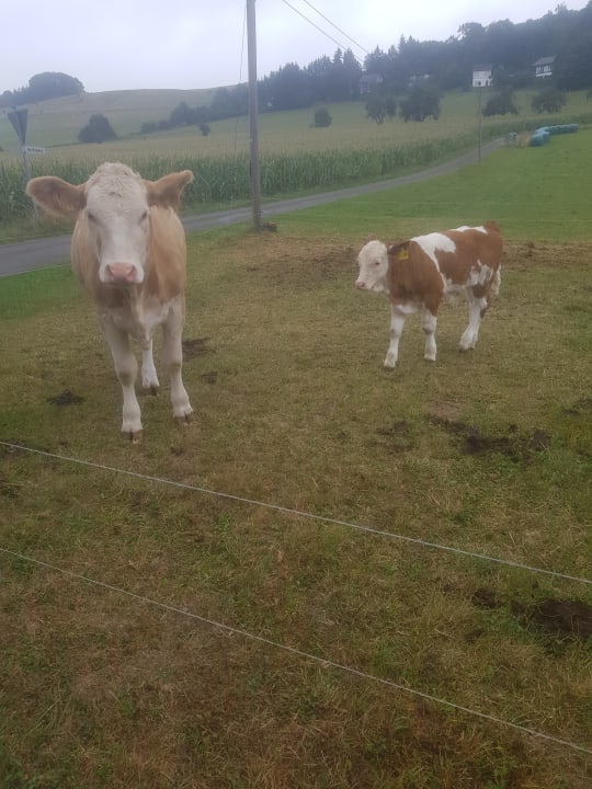 Außenansicht Wiesenberghof