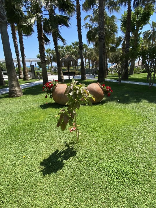Gartenanlage Hotel Miramare Beach