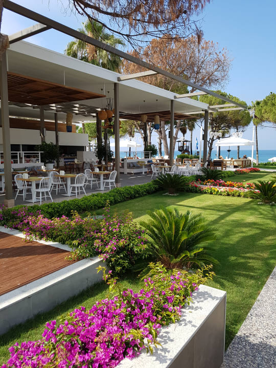 Restaurant Acanthus Cennet Barut Collection