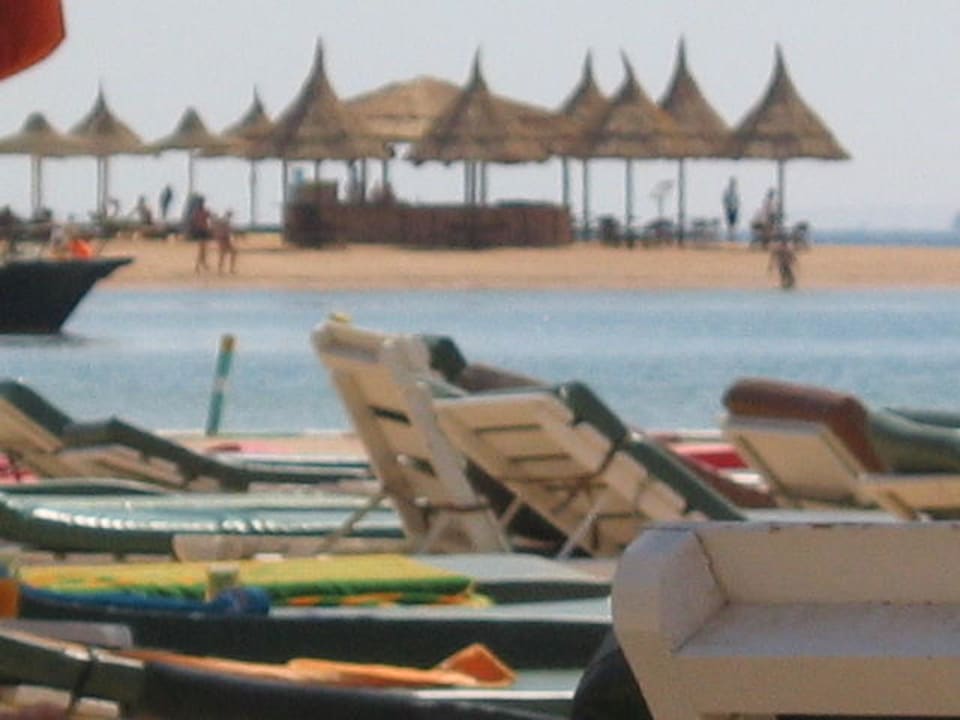 Noch einmal der strand Giftun Azur Resort