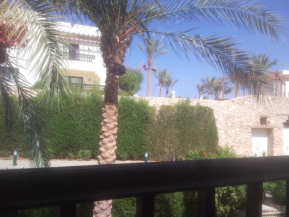 Balkon Superior Zimmer Sharm Resort