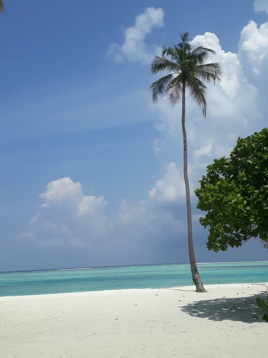 Strand Meeru Maldives Resort Island