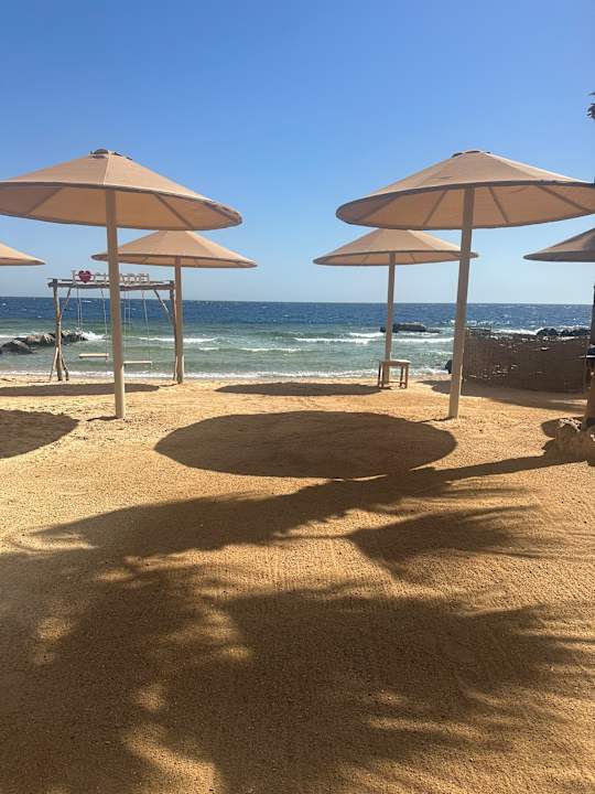 Sonstiges Pickalbatros Citadel Resort