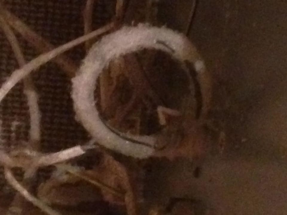 Die Klima wurde NIE sauber gemacht.  Kaliakra Beach