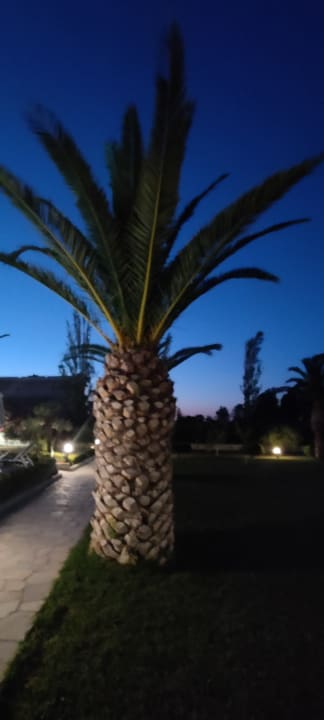 Gartenanlage Hotel Esperia