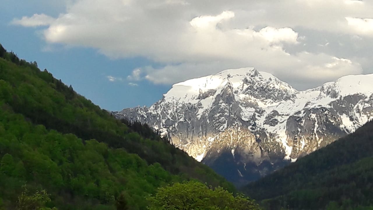 Ausblick Ferienwohnung Zörner, Haus am Kurpark