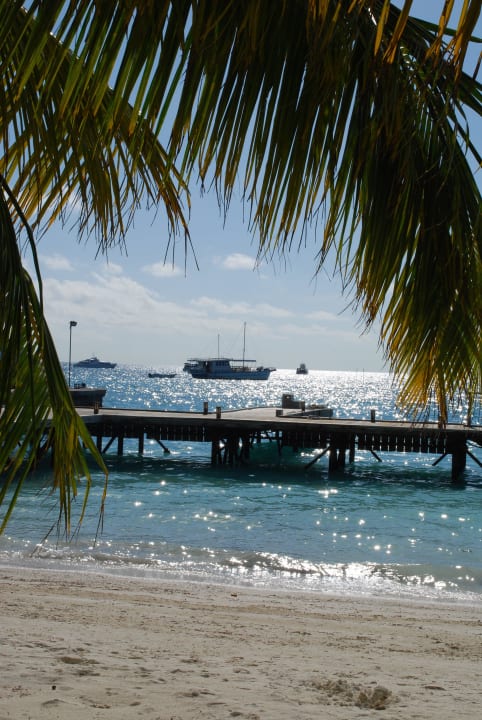 Ankunftssteg Meeru Maldives Resort Island