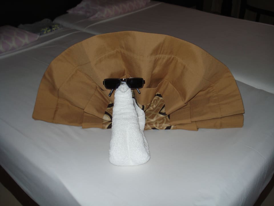 Zimmer Jaz Dar EL Madina