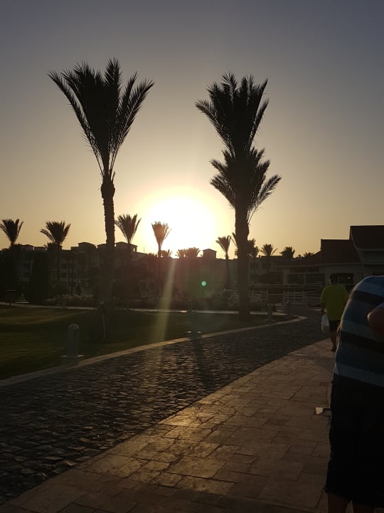 Sonstiges Pickalbatros Dana Beach Resort - Hurghada