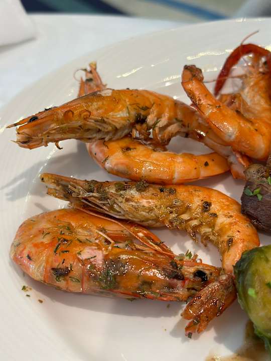 Gastro Maritim Hotel Paradise Blue Albena