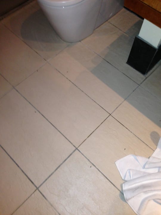 Toillete Meeru Maldives Resort Island