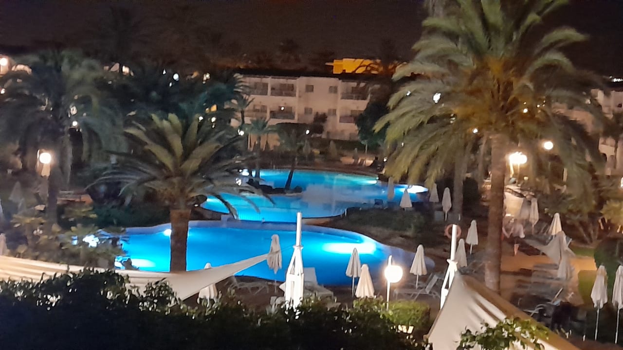 Pool Alcudia Garden Aparthotel