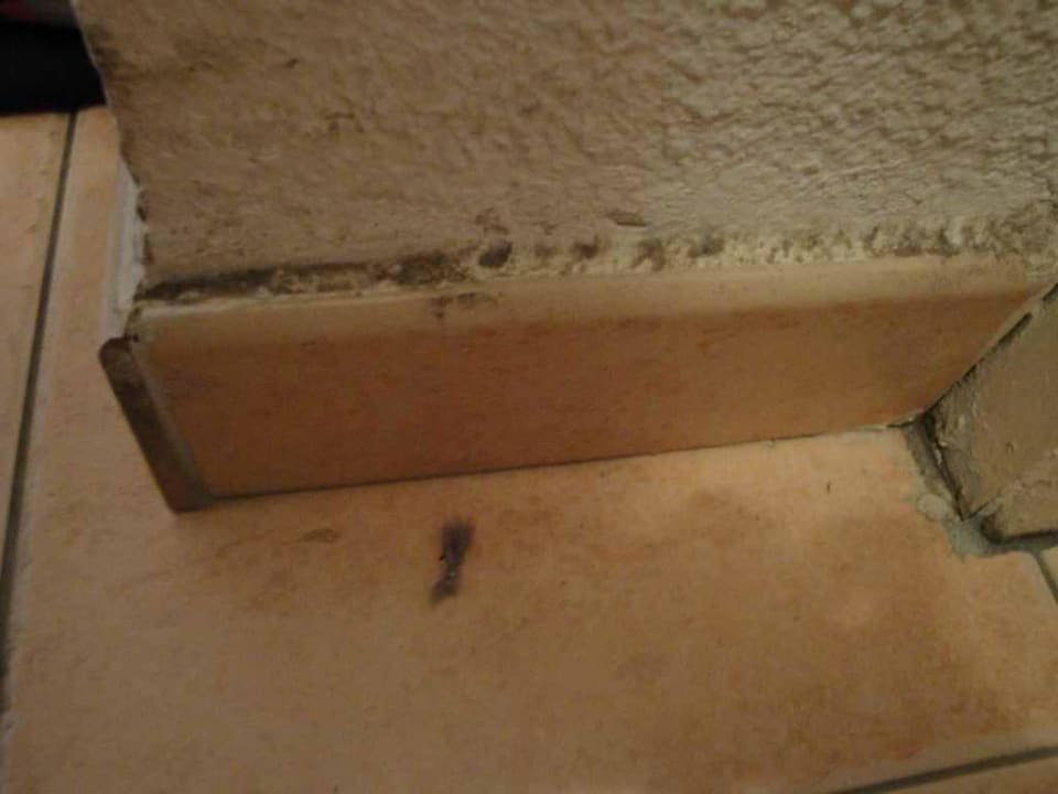 "Gereinigtes" Appartment die Zweite Hotel Feriendorf St. Loup