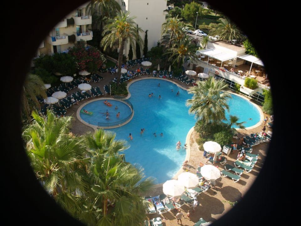 Pool Protur Palmeras Playa Aparthotel