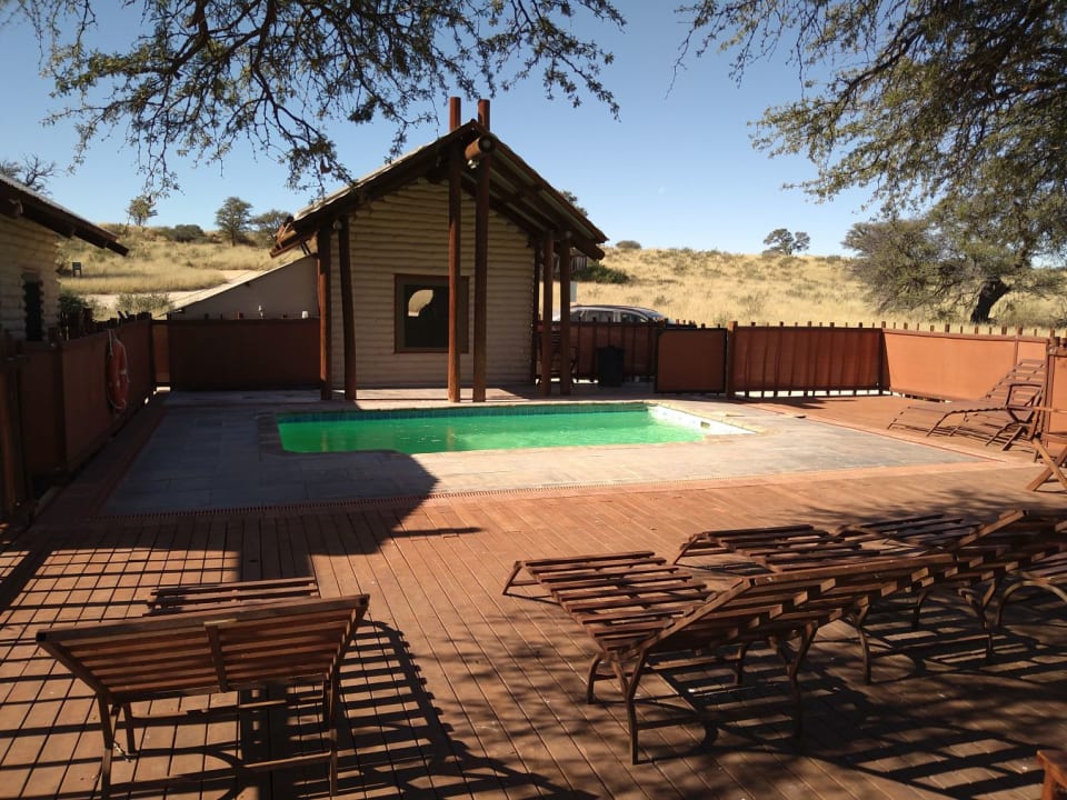 Pool Kalahari Tented Camp