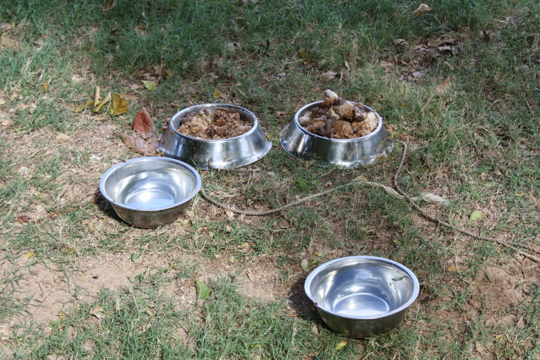 Mehr als genug Maritim Resort & Spa Mauritius