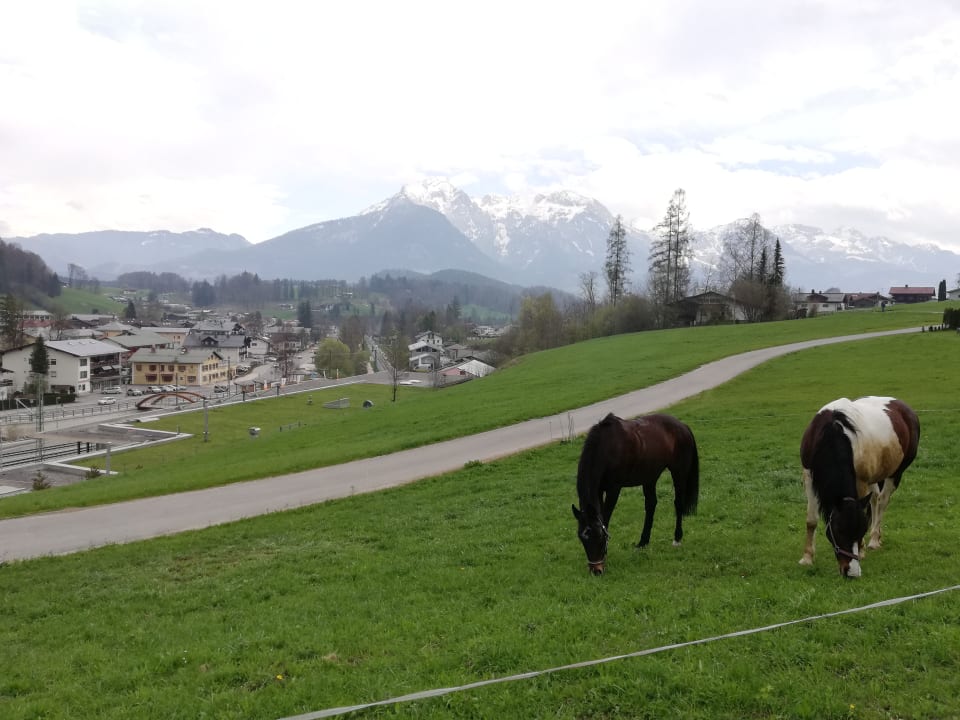 Ausblick Naturhotel Reissenlehen