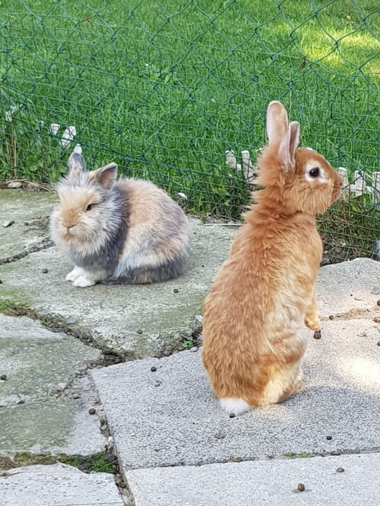 Sonstiges Familienpension Gletscherblick