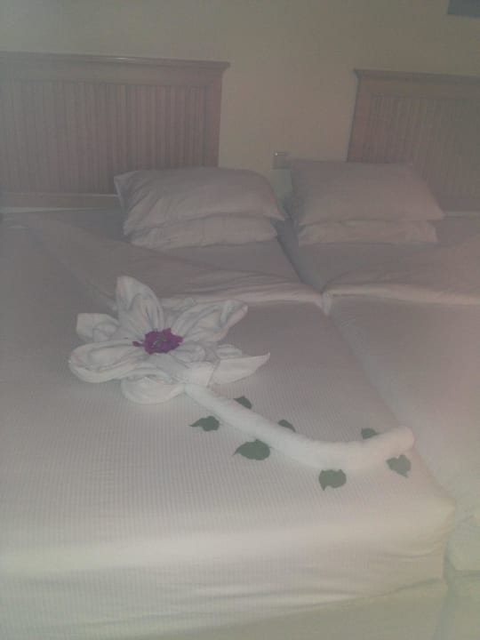Handtuchkunst Sharm Plaza