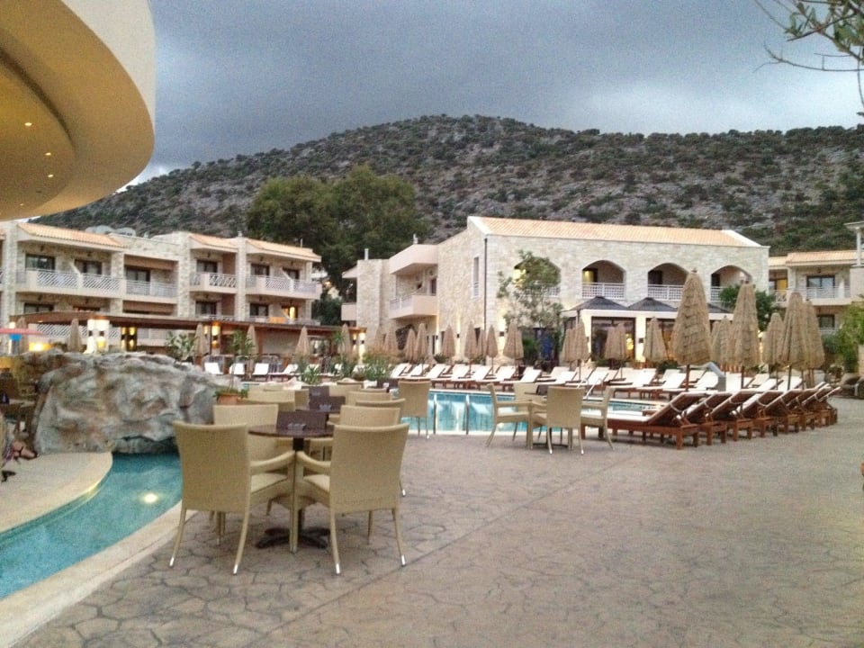 Grosser Pool Cactus Royal