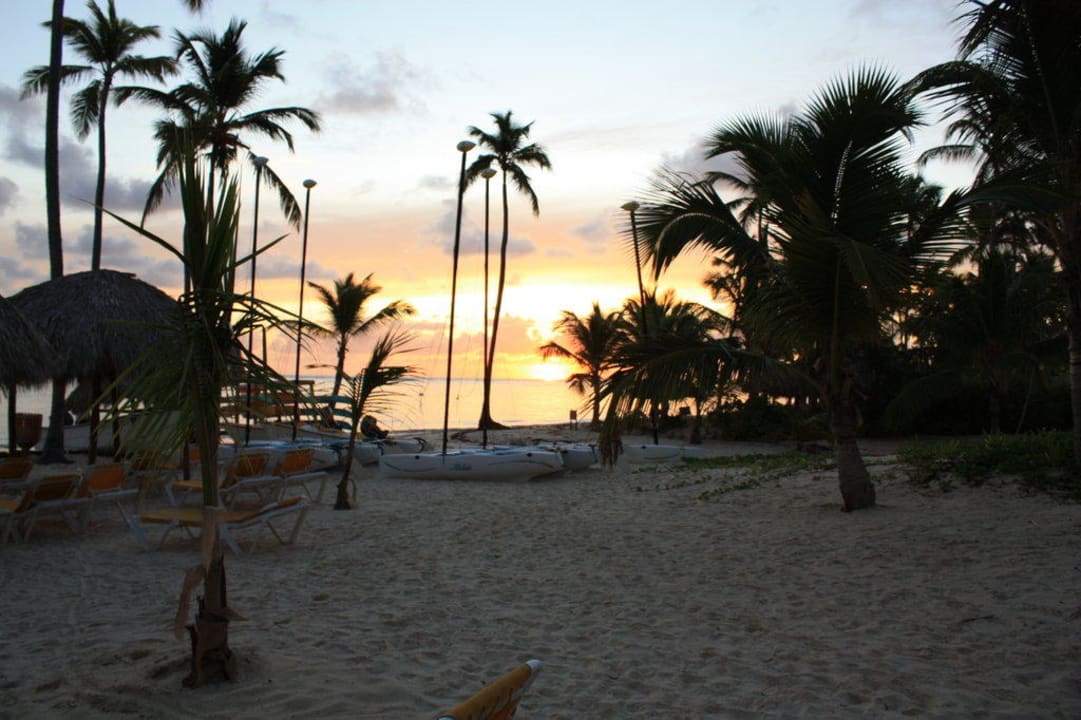 Strand am Morgen Catalonia Punta Cana - All Inclusive