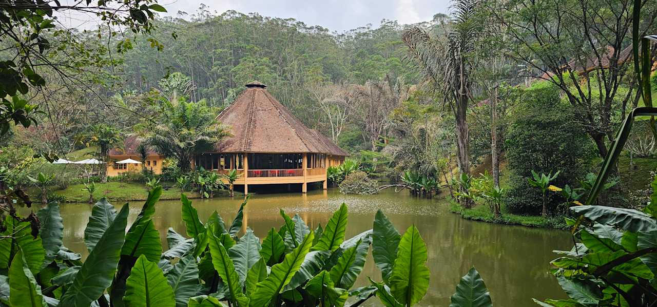 Außenansicht Hotel Vakona Forest Lodge