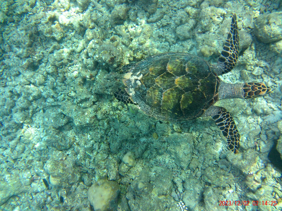 Sport & Freizeit Reethi Faru Resort