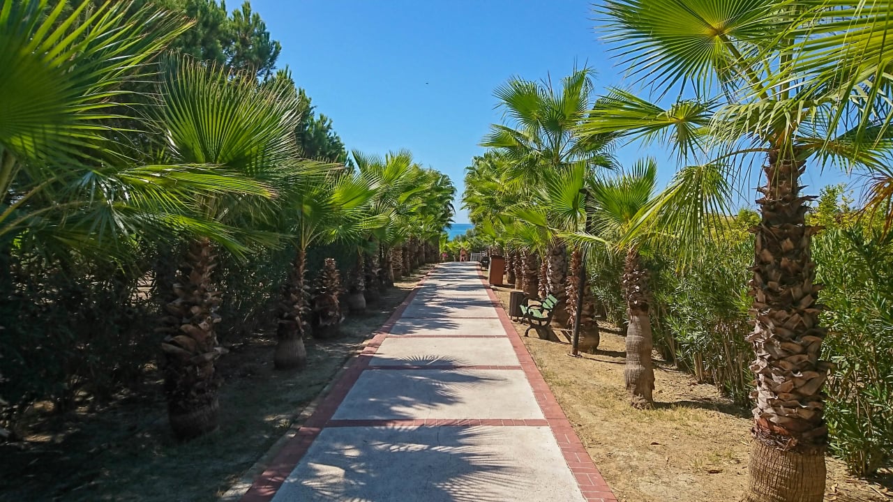 Gartenanlage Alba Resort Hotel