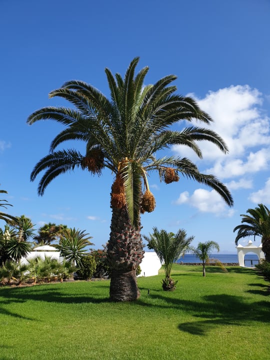 Gartenanlage Hipotels Natura Palace